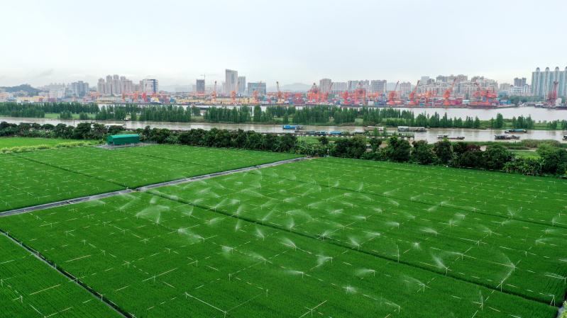 微信图片_20200604092648.jpg