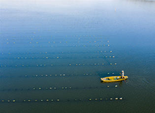 DJI_0106.jpg