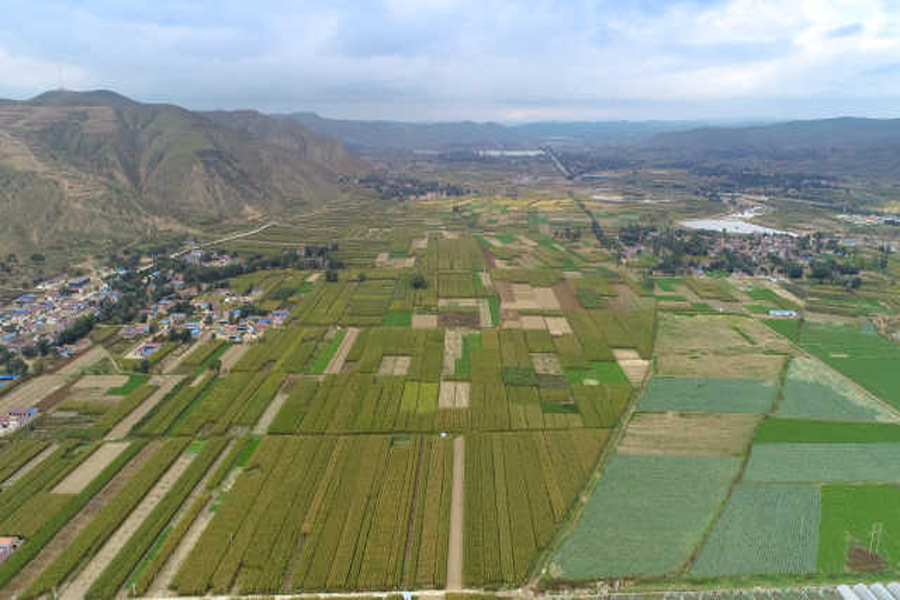 山区耕地保护（央广网发宁夏自然资源厅供图）.jpg