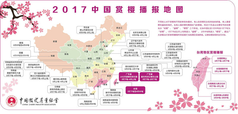 中国首次全国播报樱花花期 台湾地区樱花加入