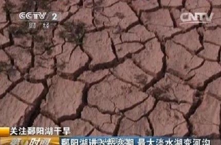 鄱阳湖干枯 中国最大淡水湖变大草原(图)