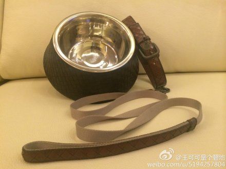 王思聪为爱犬准备的BV和爱马仕狗链