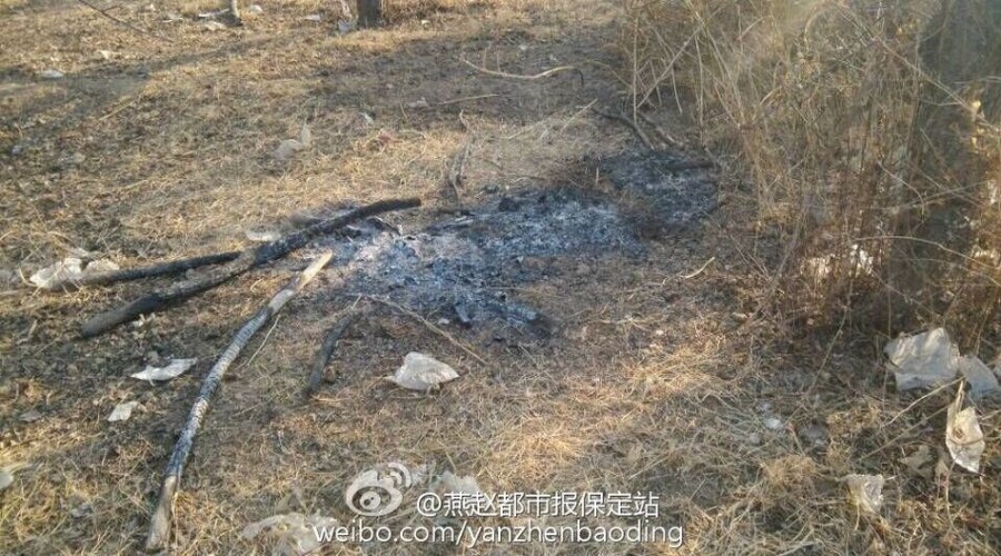 保定11岁女孩回家途中被杀尸体遭焚烧 全身赤裸疑遭性侵【图】