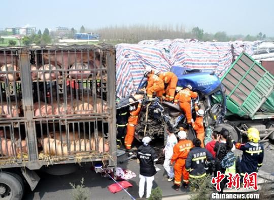 四川境内的大雾天气导致高速路事故频发已有3死40余伤