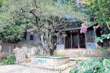 安徽琅琊山景区千年梅树遭断枝 2游客被抓被罚3万