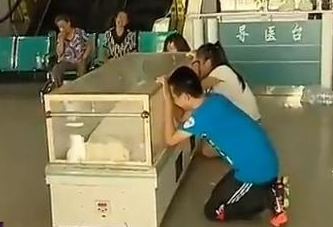 孕妇离奇死亡
