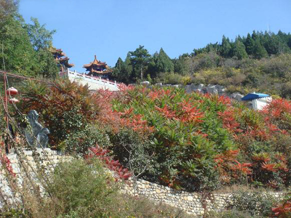 北京怀柔圣泉山景区将举办第八届红叶文化节