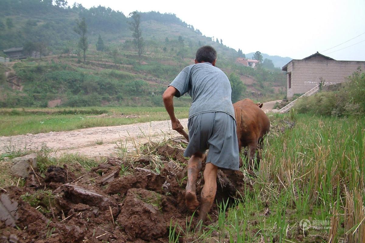 摄影师11年间记录32组山区农村人的生活