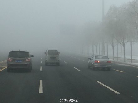 哈尔滨雾霾能见度低于500米发停课通知(图)