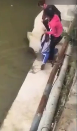 视频截图