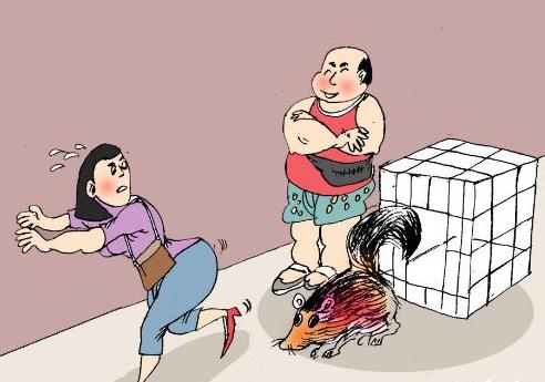 温州夫妇贩卖野生动物被起诉 案值上亿元流向高档会所餐桌