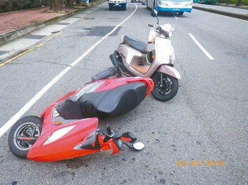 乌龟致车祸被逮捕 两名摩托车骑士追撞(图)