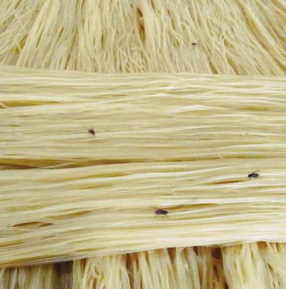 废弃厂房变“冷面加工厂”冷面盖“埋汰被”躲苍蝇