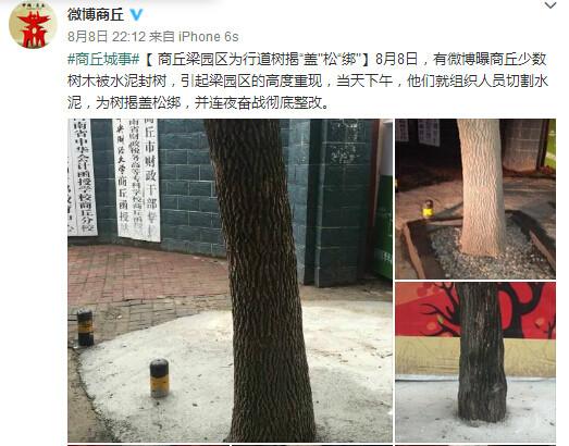 河南商丘“水泥封树”整改恢复4名官员被追责受处