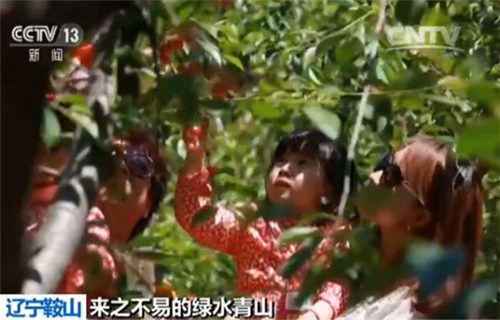 大孤山矿山生态园