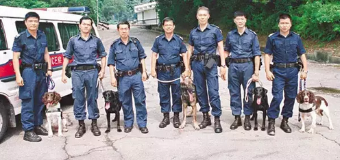 青春无限|了解"香港警犬队"的清单