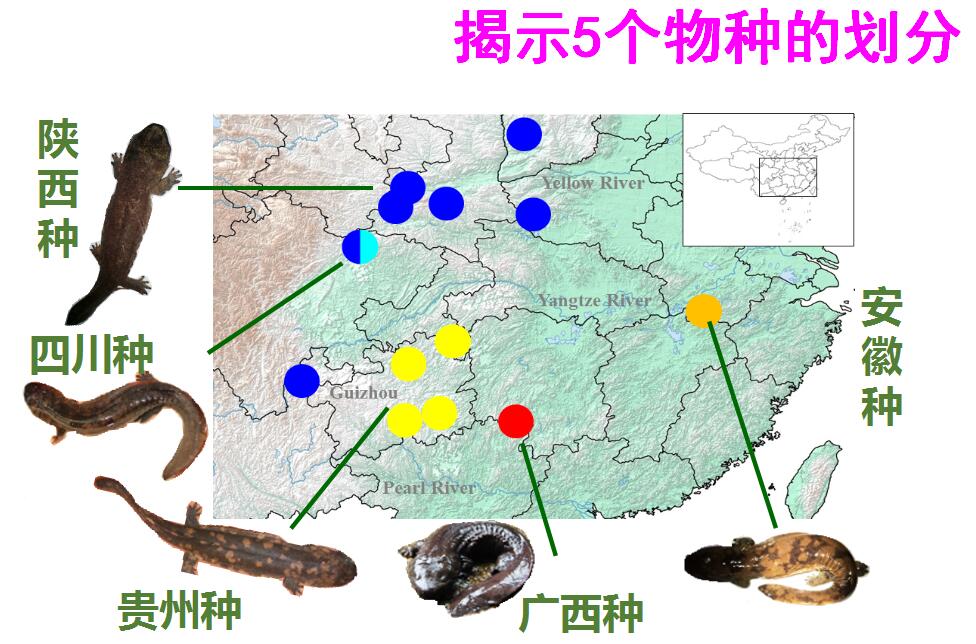 科学家成功培养首个人类胚胎模型_十九次院士大会成果及改变_改变你的思想2改变你的生活