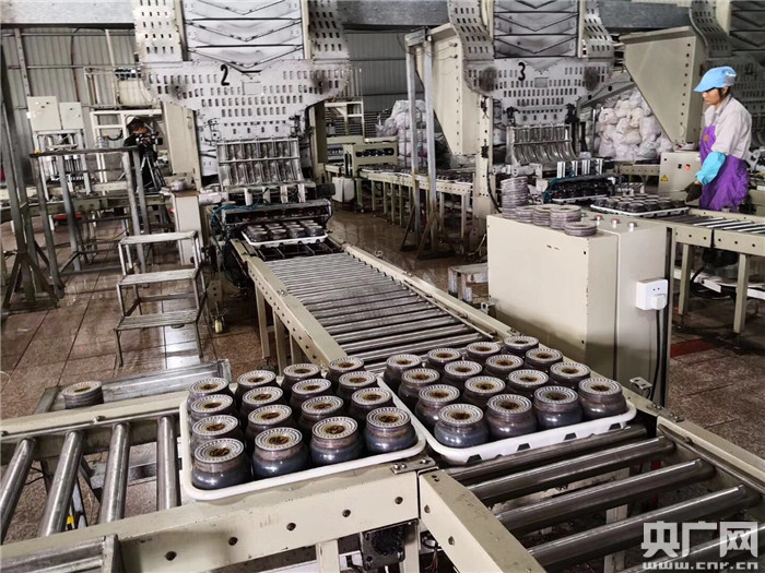 央广网国内 国内滚动    产学研一体化 促进食用菌工厂化高品质生产