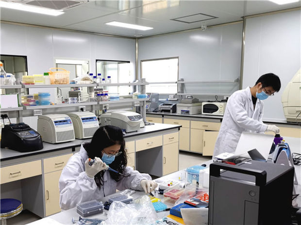 2月16日,武汉大学病毒学国家重点实验室的科研人员在工作.