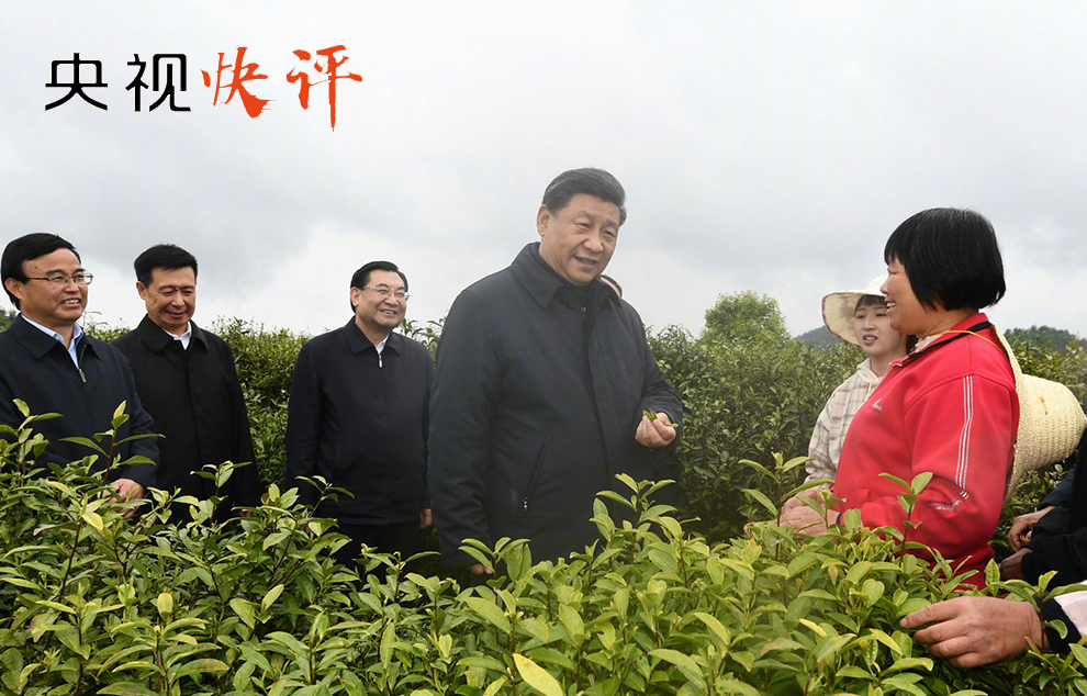 【央视快评】共品茶香茶韵 共享美好生活