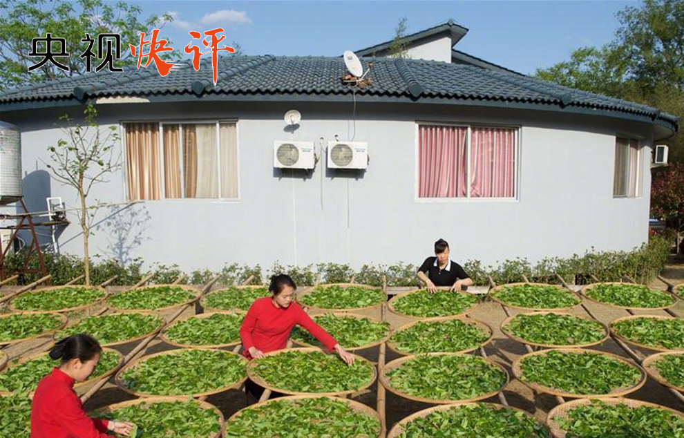 【央视快评】共品茶香茶韵 共享美好生活