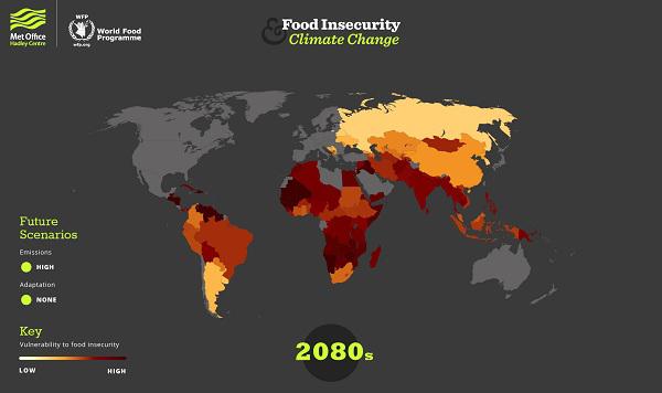 世界粮食计划署公布"饥饿地图" 气候变化会对粮食安全产生重大影响图片