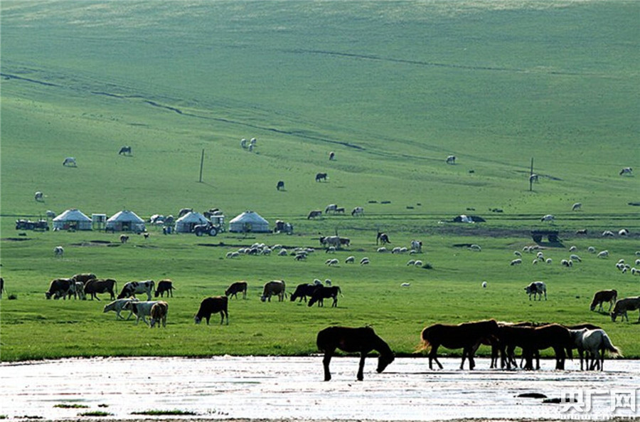 广袤的内蒙古高原:四季风光皆不同