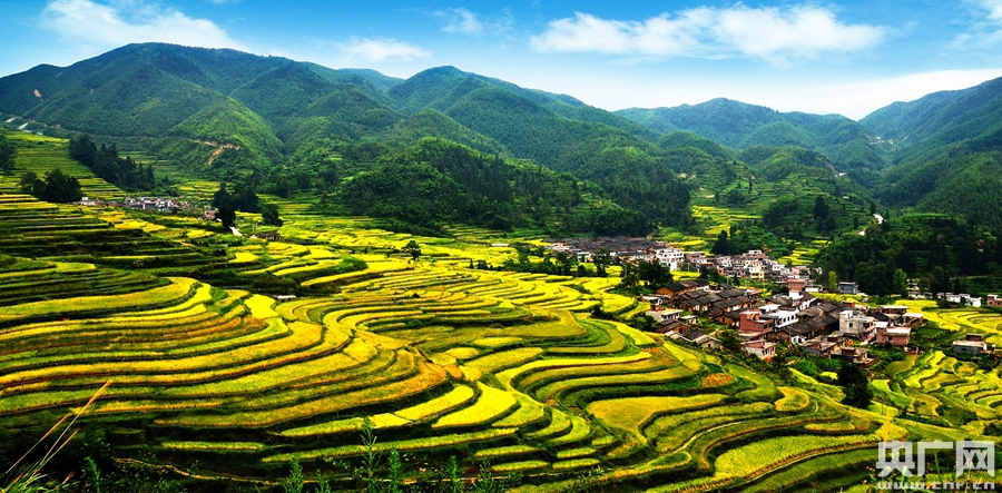 首届"广东十大美丽乡村"出炉
