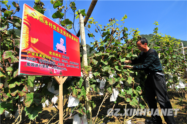 致富带头人基本情况怎么写(致富带头人基本情况怎么写简介)