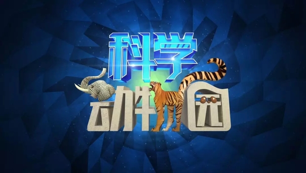图片默认标题_fororder_025.webp