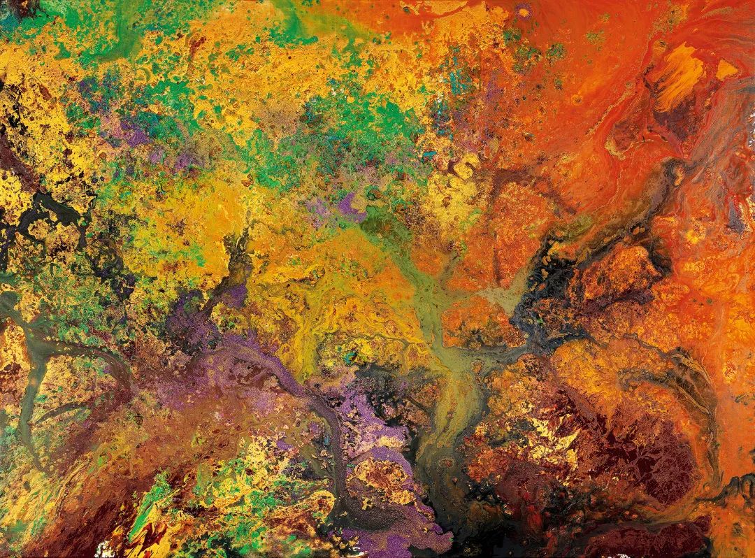 《瞰》    布面油画    综合材料    215cm×296cm